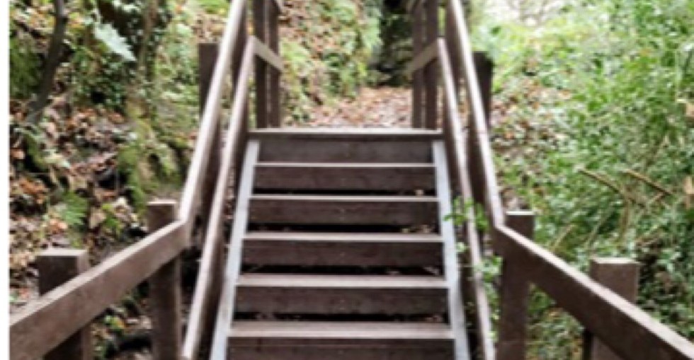 Plaswood’s Stairway to Sustainability