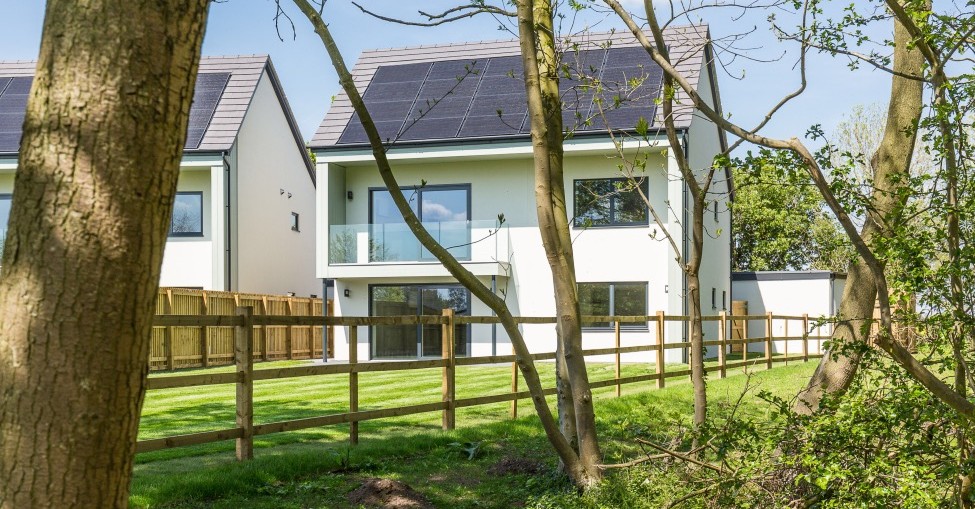 Eco-housing development leading the way into a sustainable future